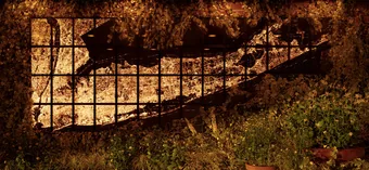 12x30' illuminated NYC and long island map